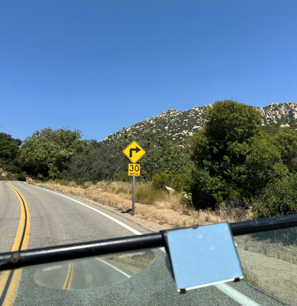 IMG_4237.jpeg