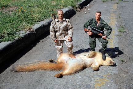 squirrel.jpg