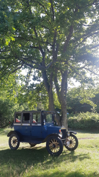 Old car under old tree.jpg