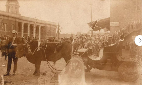 ox and car.JPG