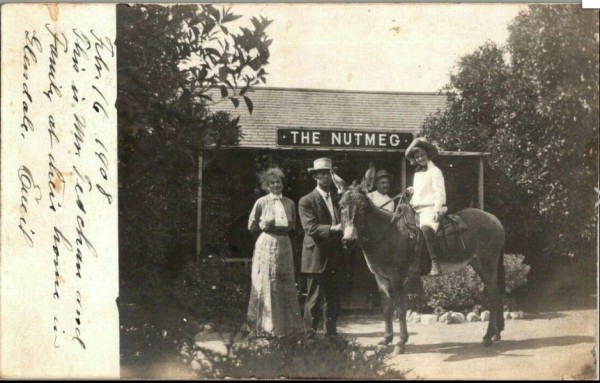 the nutmeg.JPG