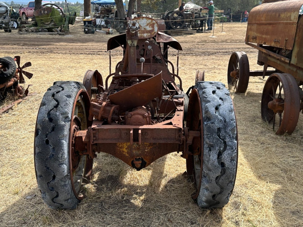 Bee_26.jpg