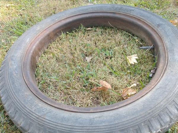 21 rim.jpg