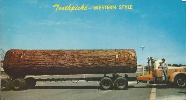 toothpick.JPG 2.JPG