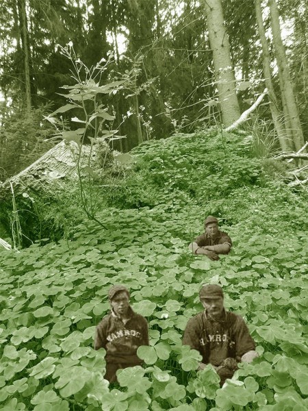 Shametc.jpg