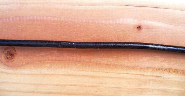 P1010014R.JPG