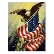 eagle.jpeg