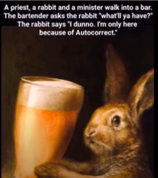rabbit.png