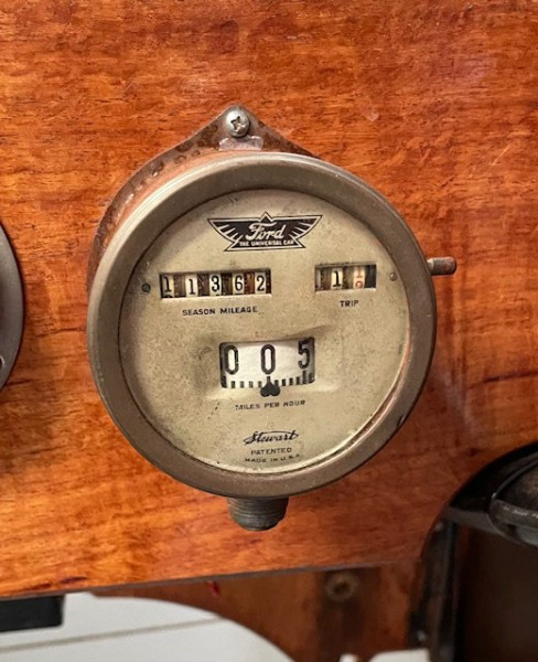 My T speedo.jpg