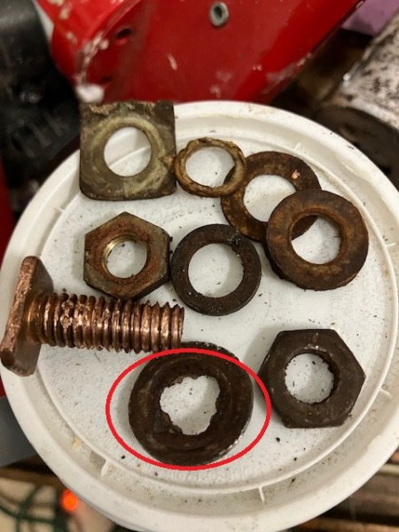 IMG_2489circled.jpg