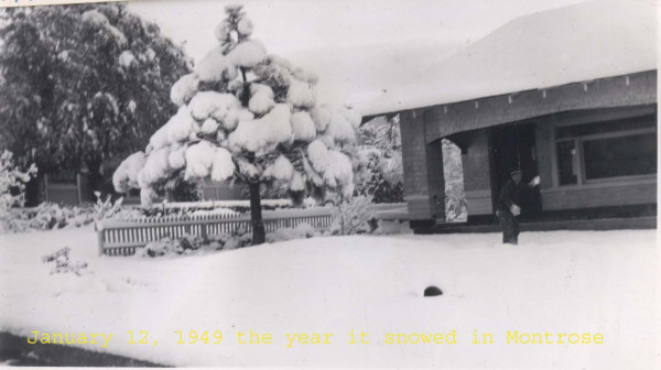 snow 2.jpg