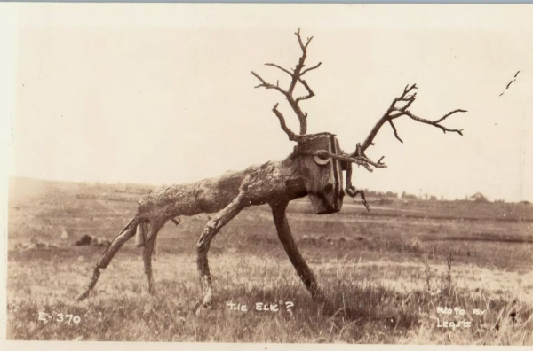 elk.png