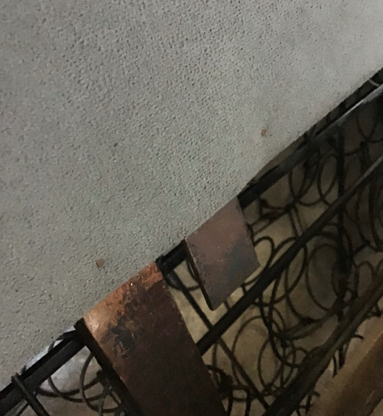 IMG_0465.jpeg