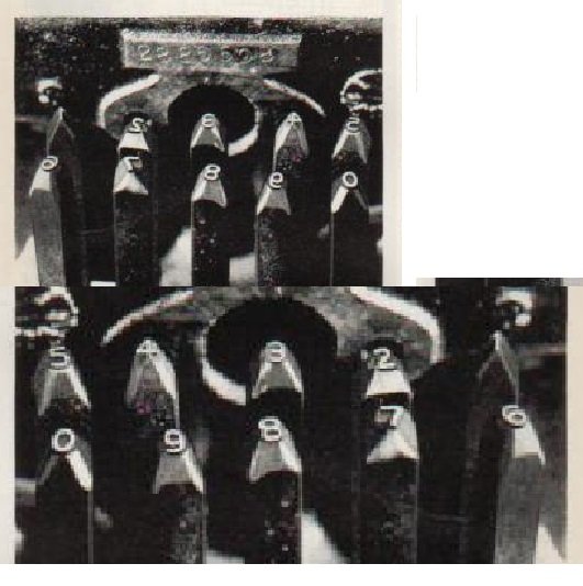 137415.jpg