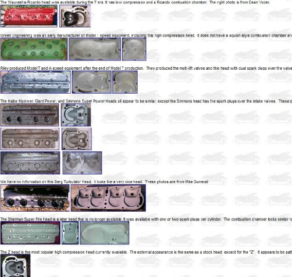 Heads pics.jpg