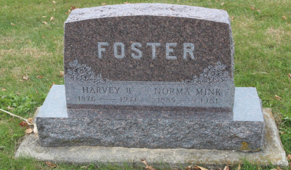 foster.jpeg