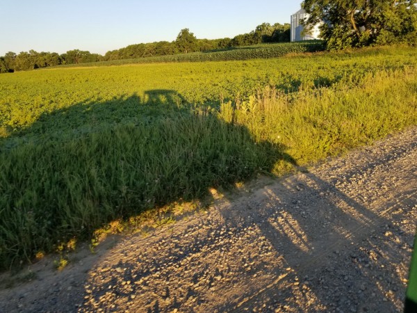 20190711_203744.jpg