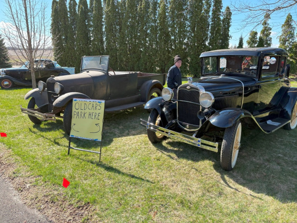 Fords.jpg