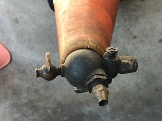 sediment bulb 1 .jpeg