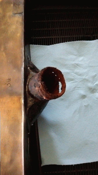 IMG_20190604_144541295.gif