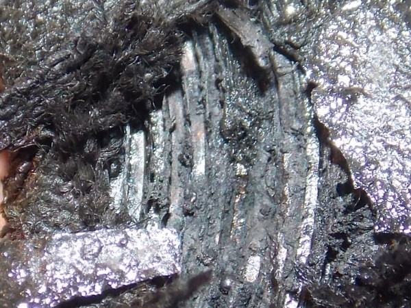 RSCN892302.JPG