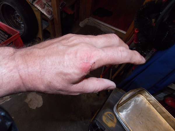 DSCN5819.JPG