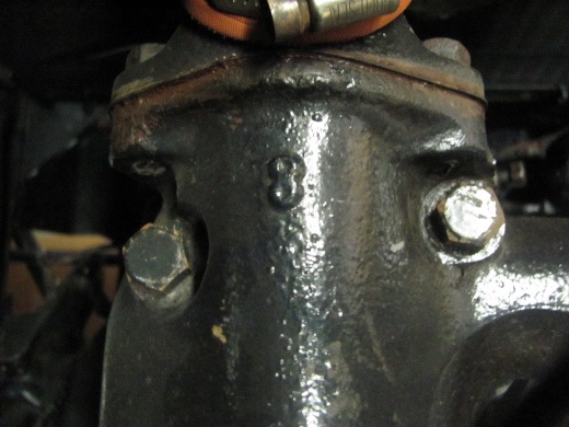 IMG_8919 (520x390).jpg
