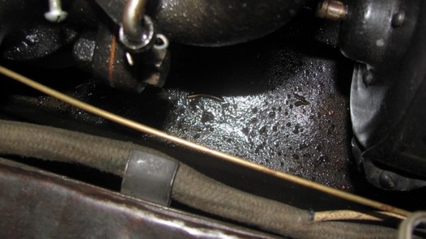 IMG_2257 (700x393).jpg