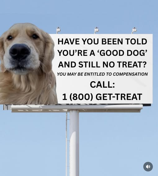 1750004366726.png