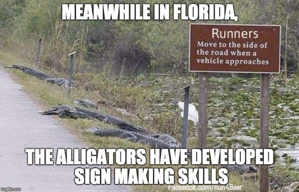signs.jpg