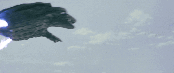 IMG_6849.gif