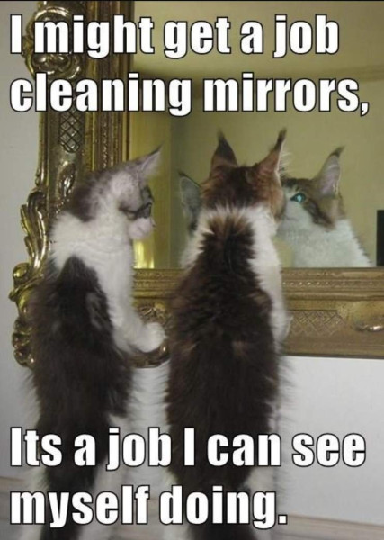 mirrors.jpg