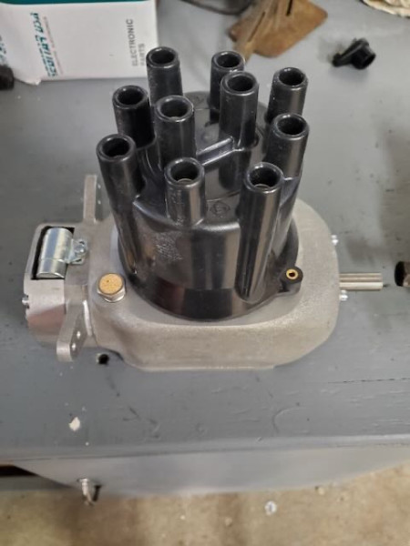 20190816_081545.jpeg
