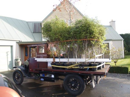 P1010899 (Mobile).JPG