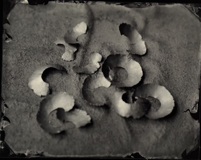 Fragmented Penny Shim