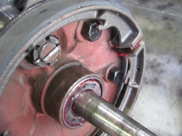 IMG_0976 (600x450).jpg