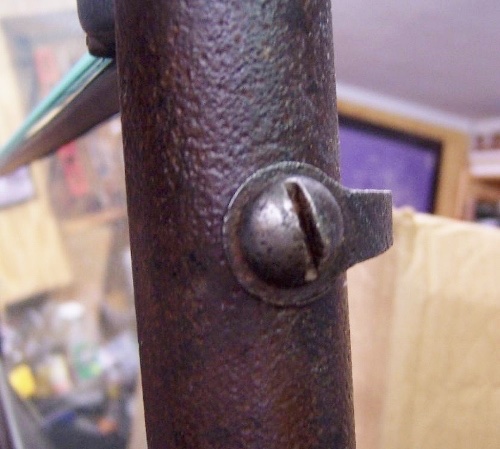 100_7826 (500x449).jpg