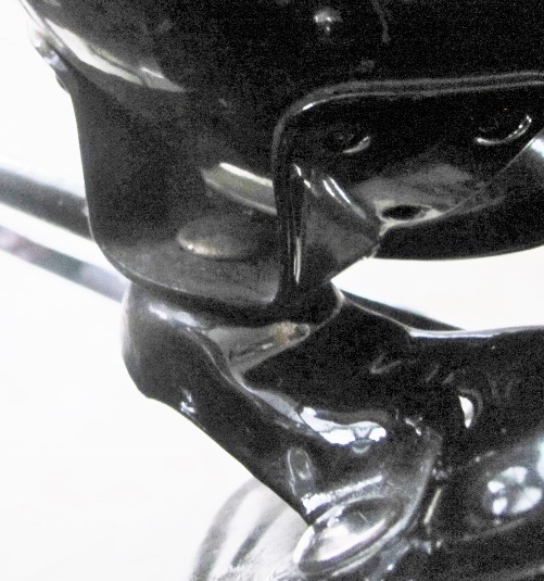 IMG_2393 (501x535).jpg