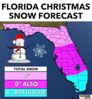 forecastsnow.png