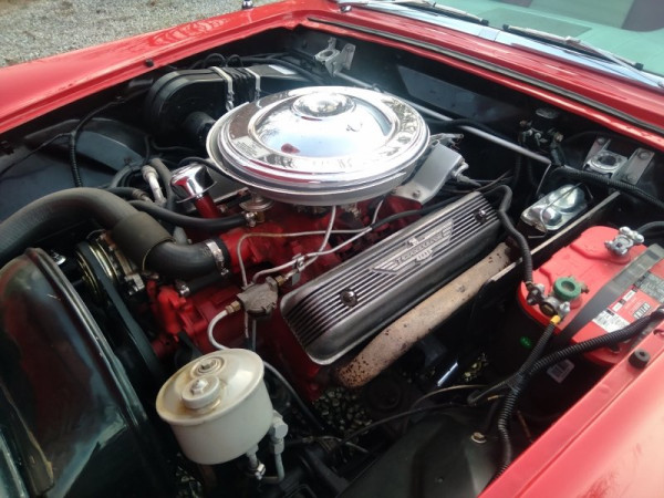 20251124_150801 (800x600).jpg