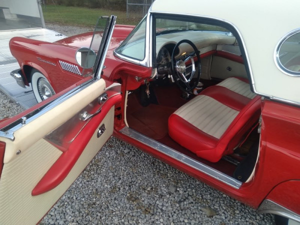 20251124_150712 (800x600).jpg