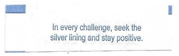 Chinese fortune cookie.jpg