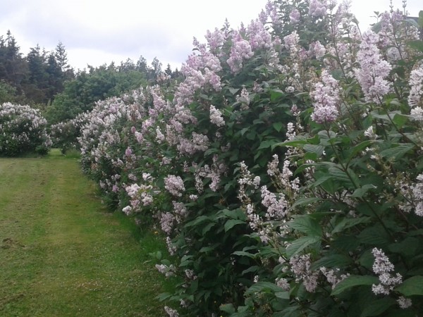 20190715_125319.jpg