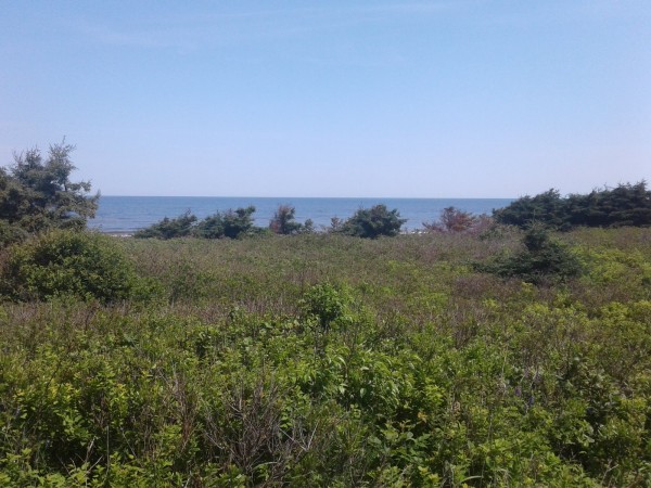 20190716_100131.jpg