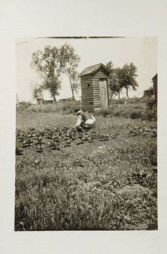 outhouse garden.JPG