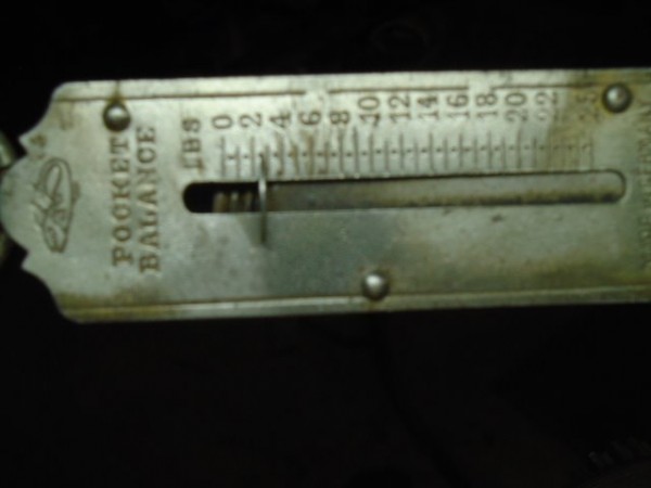 DSC02419.JPG