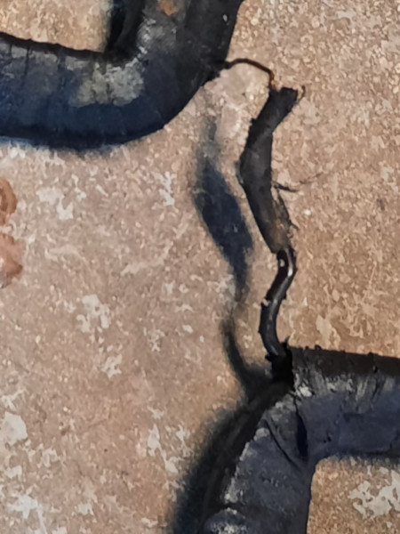 2_Daut_Field Coils.jpeg