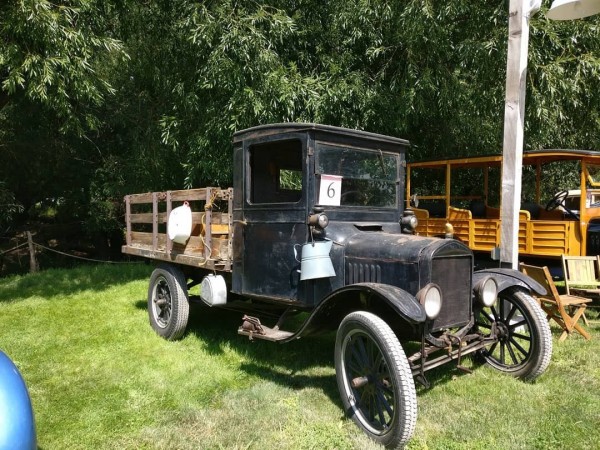 Thelma at farm.jpg