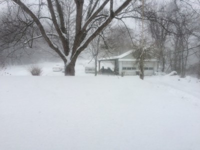 IMG_3565.JPG