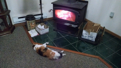 IMG_20190119_171358160 (640x360).gif